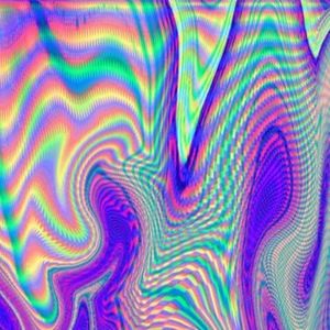 Meet your Posher, Brody